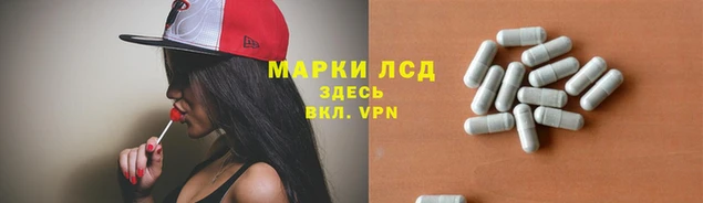 спайс Липки
