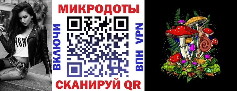 mega онион  Каменногорск  Псилоцибиновые грибы Cubensis  продажа наркотиков 