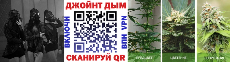 блэк спрут как зайти Каменногорск Конопля LSD WEED купить наркотик